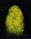 illuminated fingerprint