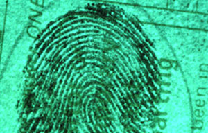 Forensic evidence illuminated with a Polilight